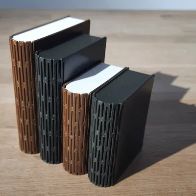 Hộp sách với bản lề sống