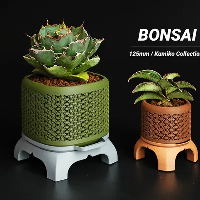 Chậu Bonsai Kumiko Superellipse có Chân đế