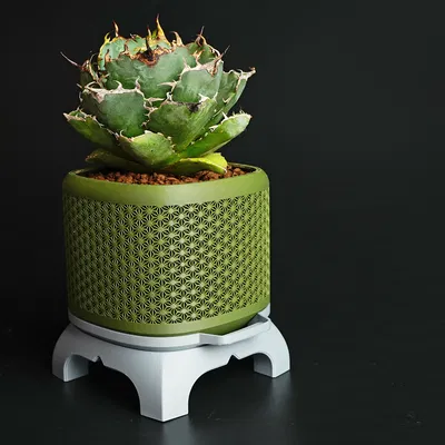 Chậu Bonsai Kumiko Superellipse có Chân đế