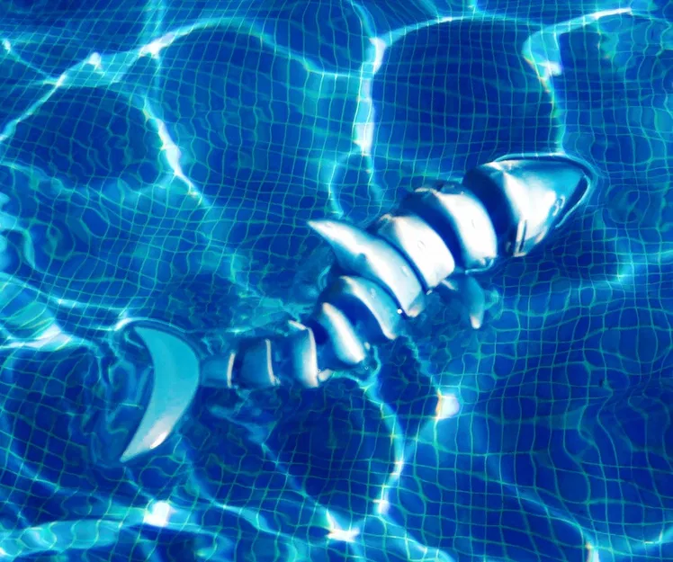 Cá Mập Khớp Nối (Articulated Shark) - Image 5