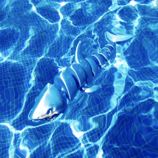 Cá Mập Khớp Nối (Articulated Shark) - Image 7