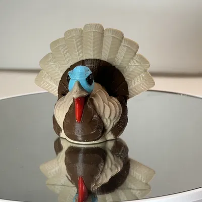 Gà Tây Lễ Tạ Ơn (Turkey)