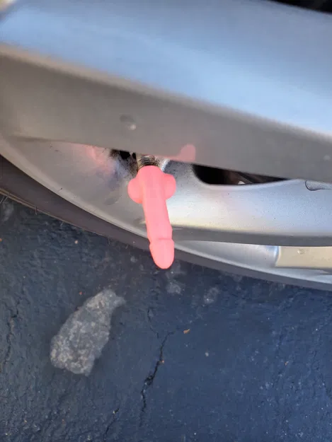 Nắp Van Lốp Xe Có Chữ D - Image 3