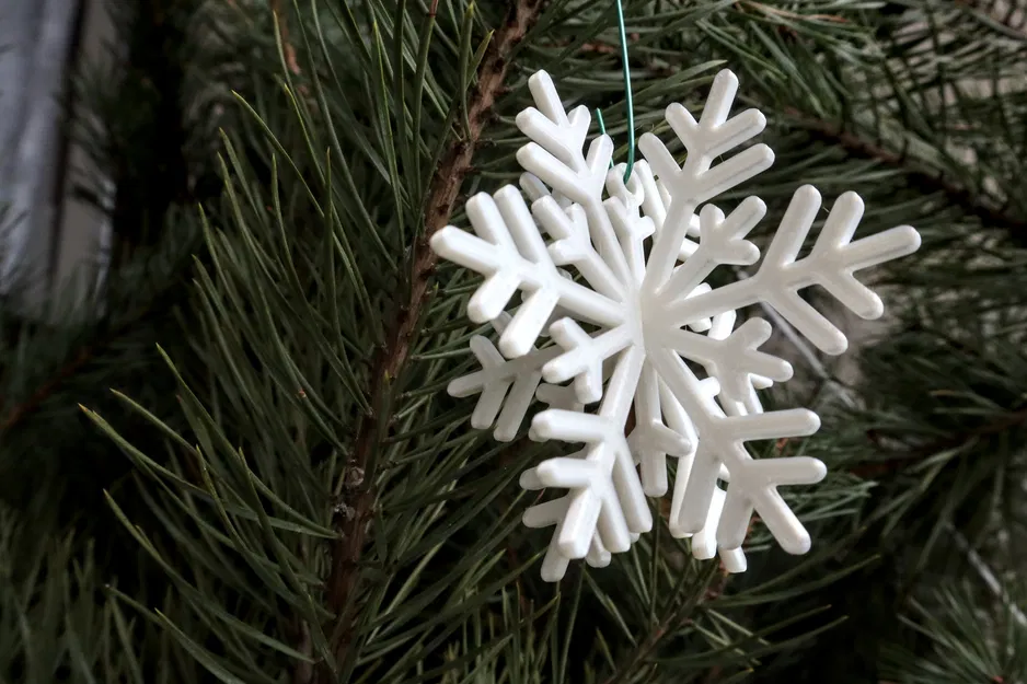 Bông Tuyết Giáng Sinh - Image 1