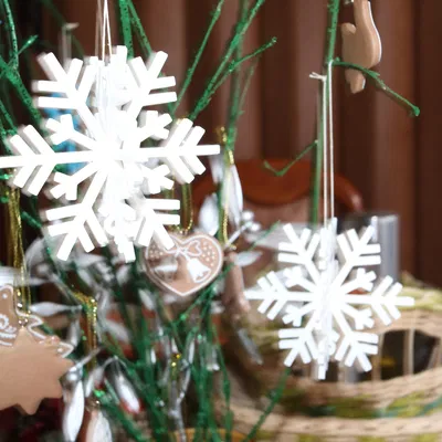 Bông Tuyết Giáng Sinh