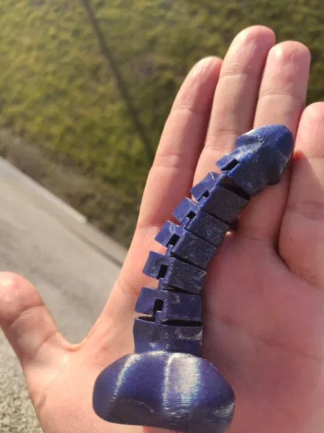 Chim Articulated - Image 3