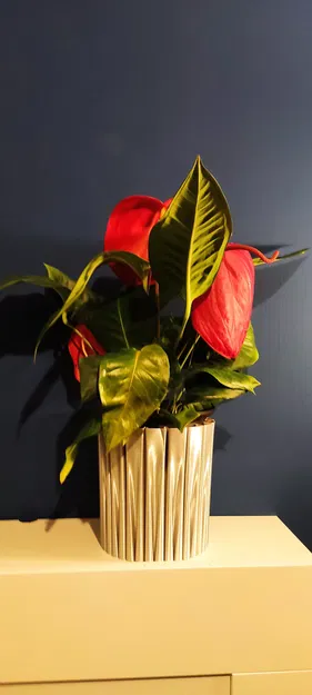 Chậu hoa đẹp cỡ lớn tự tưới - Image 1