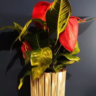 Chậu hoa đẹp cỡ lớn tự tưới