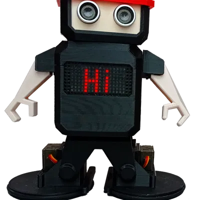 Robot Otto Ninja Humanoid