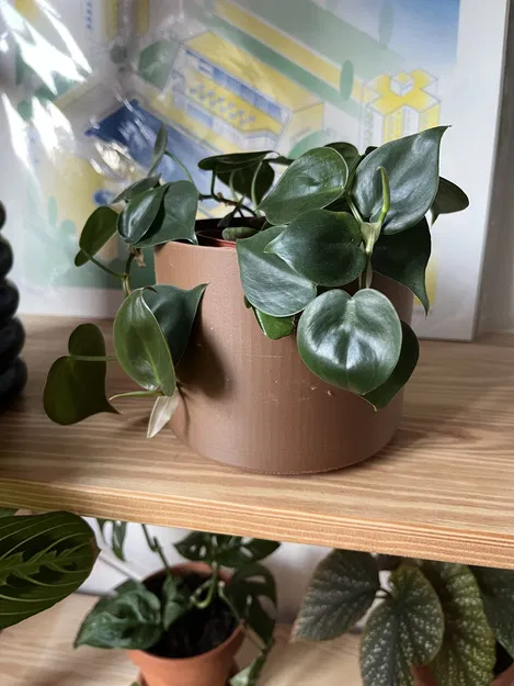 Chậu Cây Hình Trụ Cơ Bản - Image 1