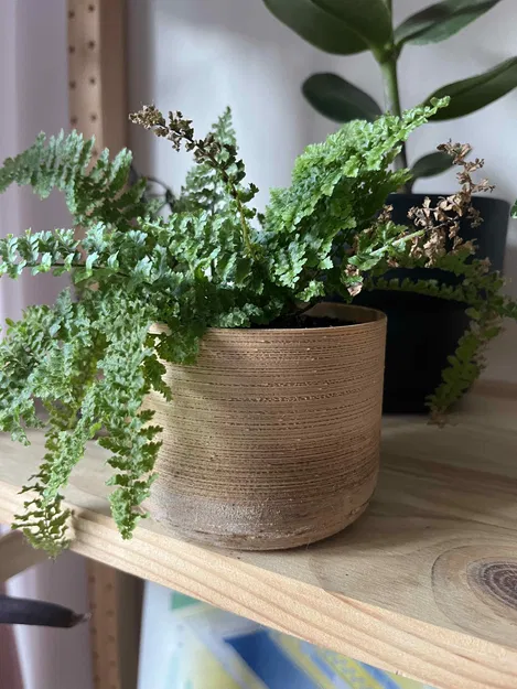 Chậu Cây Hình Trụ Cơ Bản - Image 2