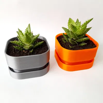 Chậu Hoa Vuông Có Lỗ Thoát Nước - Square Flower Pot With Water Drainage