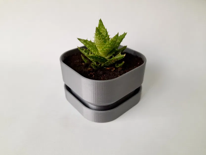 Chậu Hoa Vuông Có Lỗ Thoát Nước - Square Flower Pot With Water Drainage - Image 2