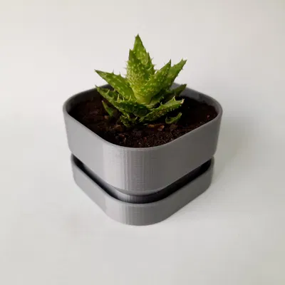 Chậu Hoa Vuông Có Lỗ Thoát Nước - Square Flower Pot With Water Drainage