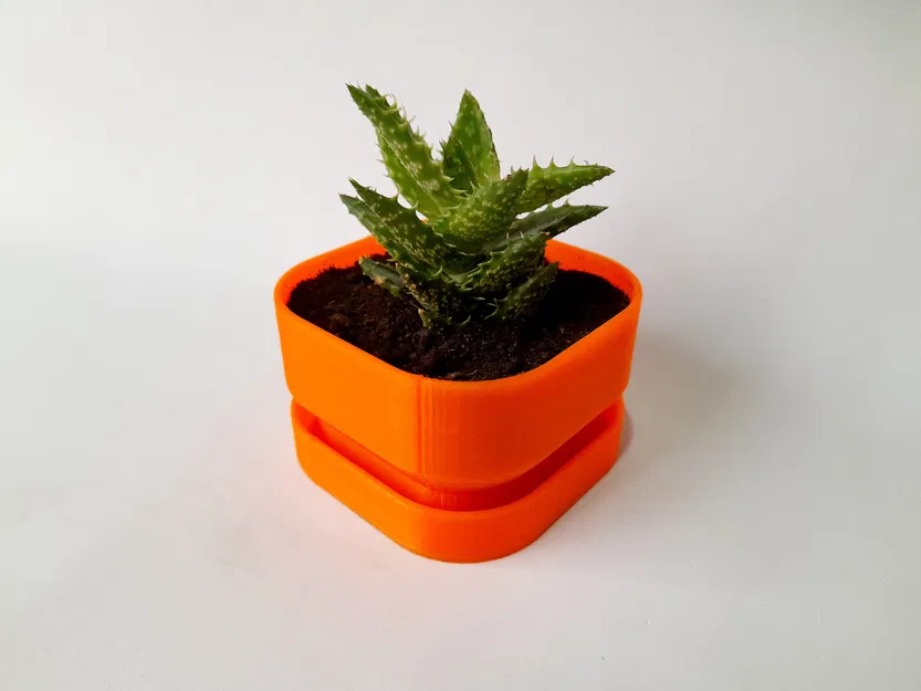 Chậu Hoa Vuông Có Lỗ Thoát Nước - Square Flower Pot With Water Drainage - Image 3