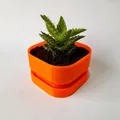 Chậu Hoa Vuông Có Lỗ Thoát Nước - Square Flower Pot With Water Drainage - Thumbnail 3