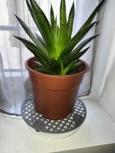 Đế Thoát Nước Chậu Cây (Planter Pot Drain) - Image 2