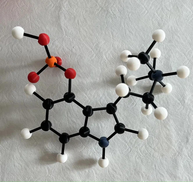 Mô hình Bóng và Que (không có hỗ trợ) - Image 1