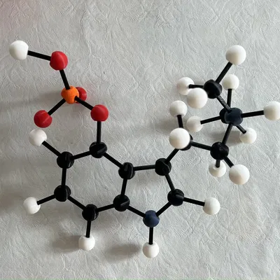 Mô hình Bóng và Que (không có hỗ trợ)