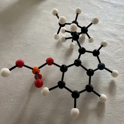 Mô hình Bóng và Que (không có hỗ trợ)