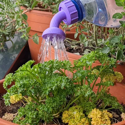 Nắp Chai Tưới Nước