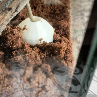 Chậu cây mini cho bể cạn