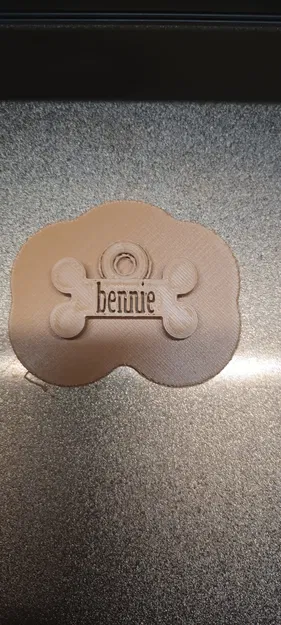 Tên thẻ cho chó Bennie - Image 2