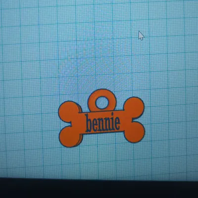 Tên thẻ cho chó Bennie