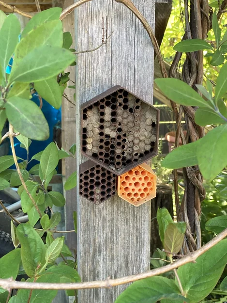 Khách sạn Ong Tự Làm Hình Lục Giác - Image 1