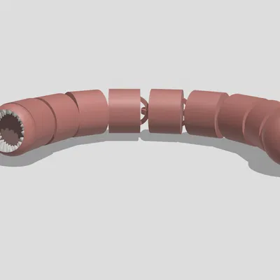 Giun Máu Khớp Nối