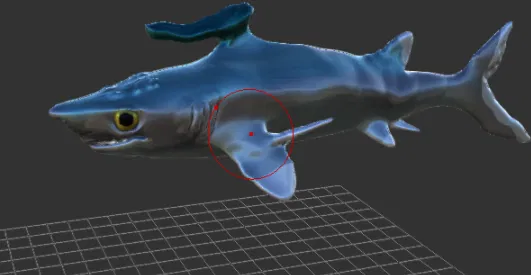 Mô hình Falcatus - Cá sụn kỷ Than Đá - Image 1