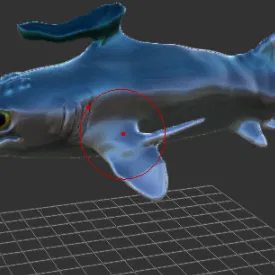 Mô hình Falcatus - Cá sụn kỷ Than Đá