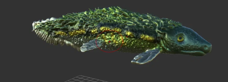 Listrocanthus - Image 1