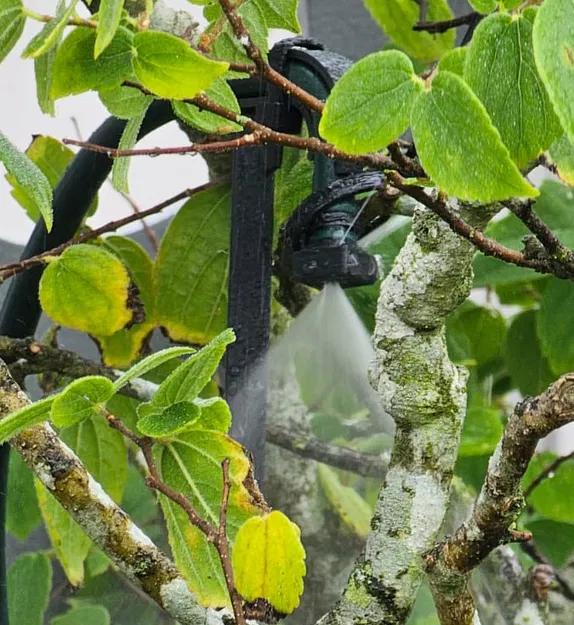 Đầu phun micro-vortex cho ống OD 6.5 mm (1/4 inch) - Image 9