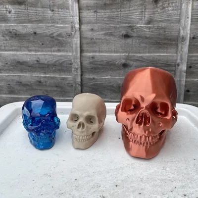 Mô Hình Hộp Sọ Người