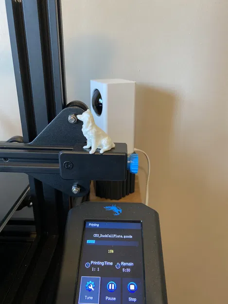 Mẫu Chó Australian Shepherd - Image 1