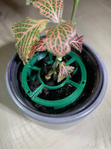 Vòng Căn Tâm Cho Chậu "Plant Stacks!" - Image 2