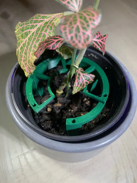 Vòng Căn Tâm Cho Chậu "Plant Stacks!" - Image 3