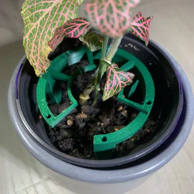 Vòng Căn Tâm Cho Chậu "Plant Stacks!"