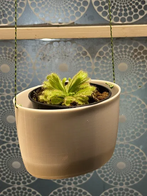 Chậu treo hai điểm - Image 1