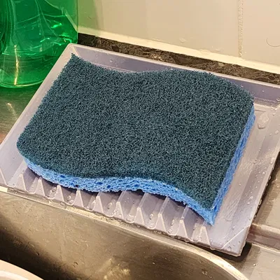 Khay Đựng Bọt Biển Bồn Rửa Bát