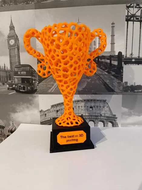 Cúp Voronoi - Image 2