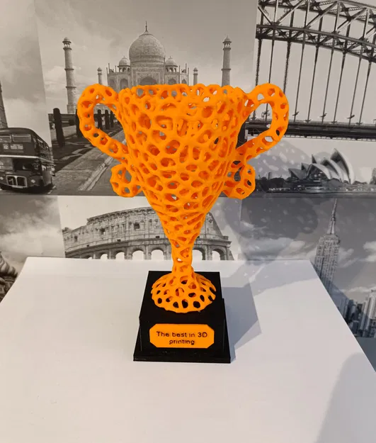 Cúp Voronoi - Image 3