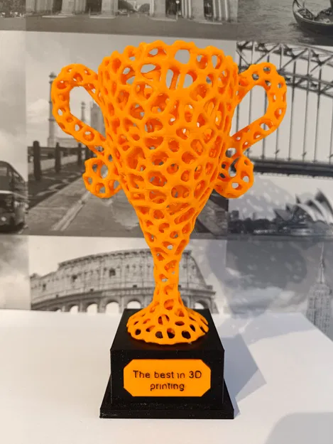 Cúp Voronoi - Image 4