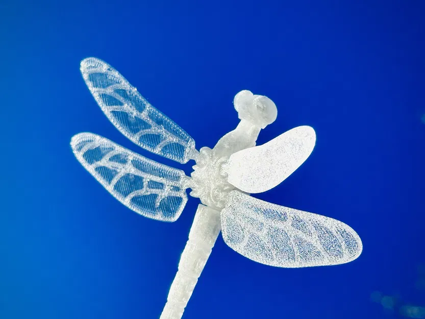 Cánh Mỏng Cho Rồng Dragonfly Voronoi - Image 1