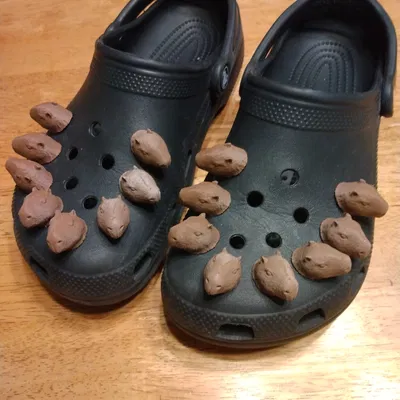 Jibbitz Chuột Lang Nước (Capybara)