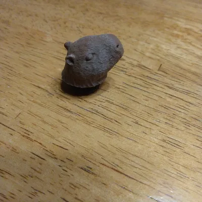 Jibbitz Chuột Lang Nước (Capybara)