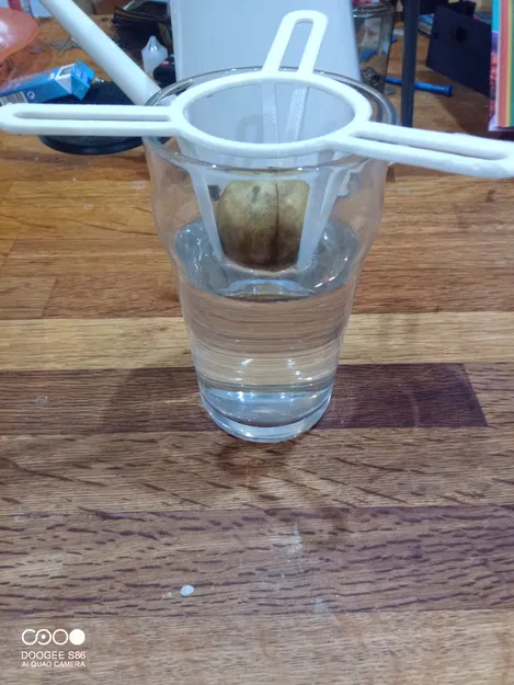 Dụng Cụ Ươm Hạt Bơ Lớn - Image 2