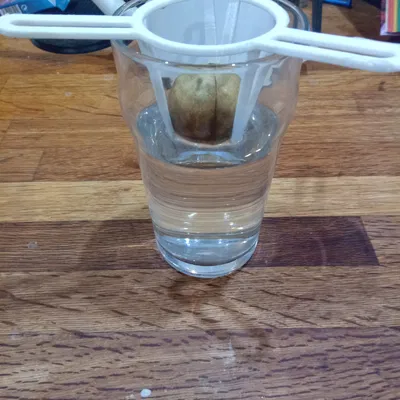 Dụng Cụ Ươm Hạt Bơ Lớn