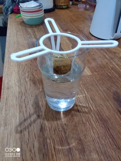 Dụng Cụ Ươm Hạt Bơ Lớn - Image 3